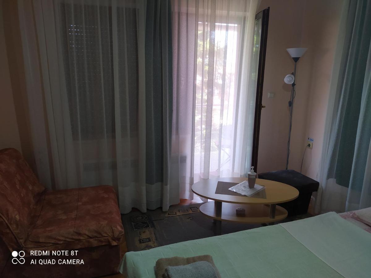 Apartment & Rooms Aleksandar Golubac Buitenkant foto